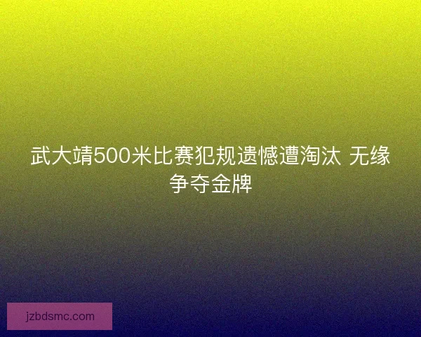 武大靖500米比赛犯规遗憾遭淘汰 无缘争夺金牌